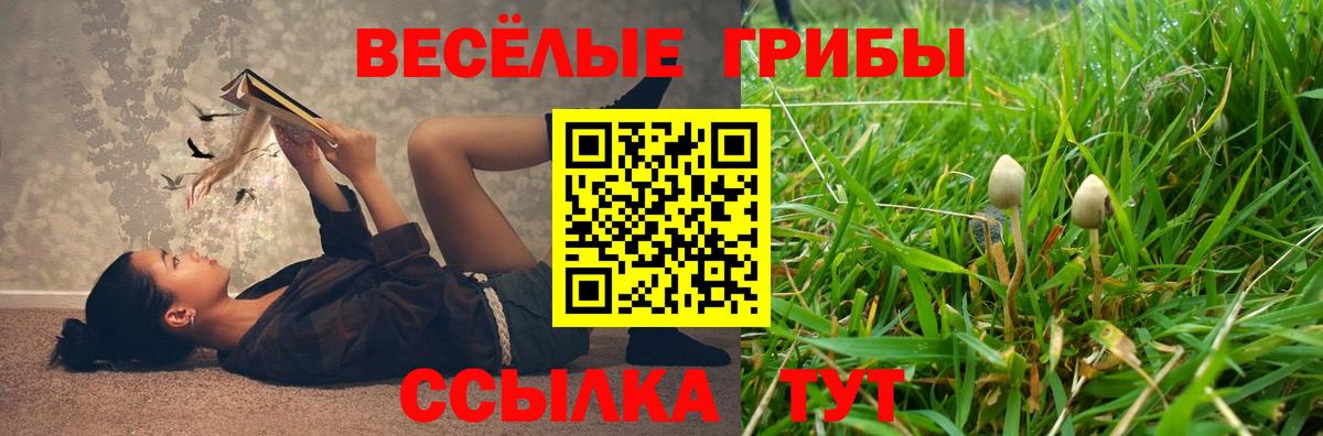 Псилоцибиновые грибы ЛСД Ялта